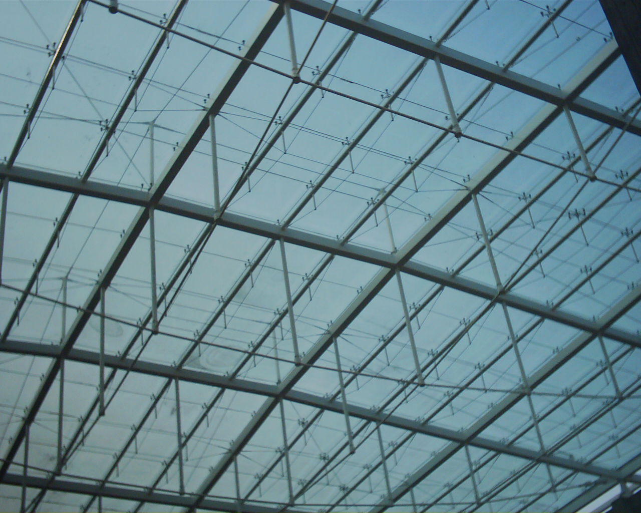 浙江大學圖書館信息樓采光玻璃頂（2002年合作設計）